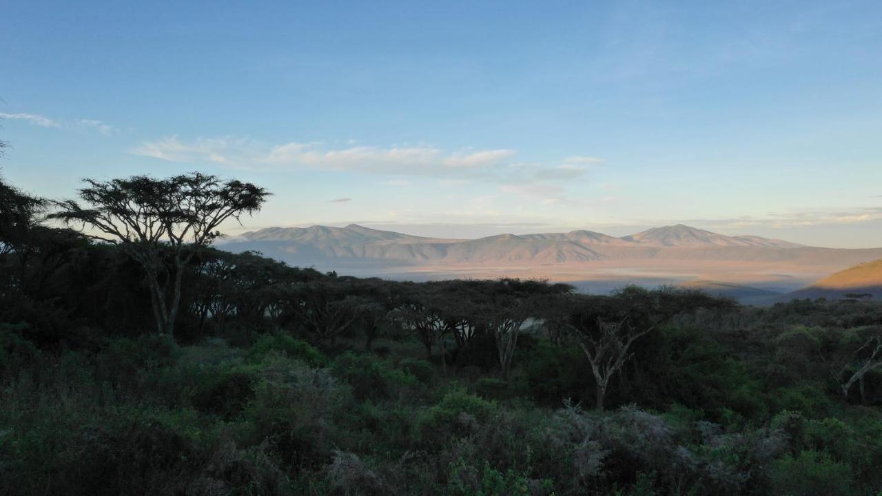 Lions Paw Ngorongoro Hotel Екстериор снимка