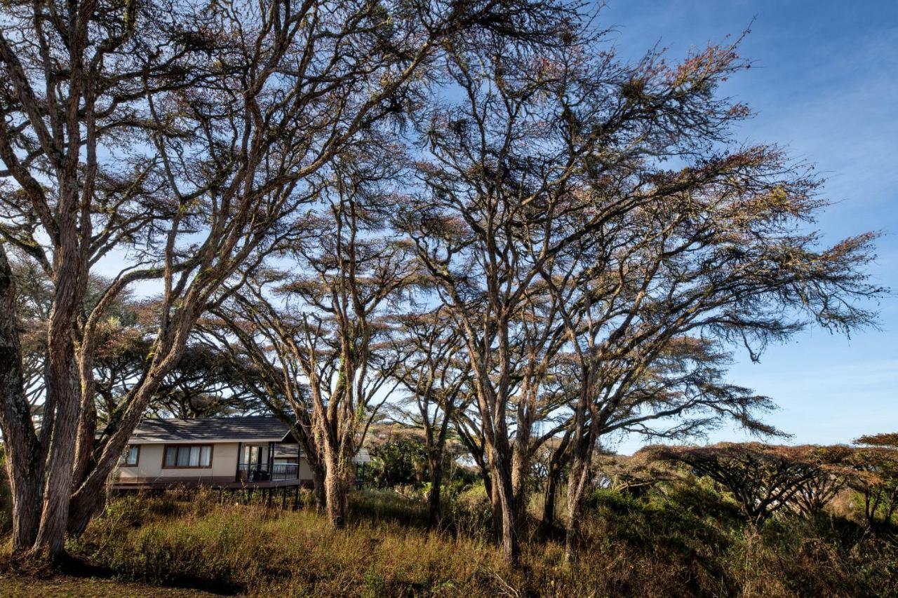 Lions Paw Ngorongoro Hotel Екстериор снимка