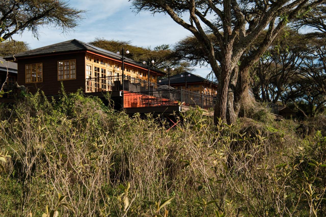 Lions Paw Ngorongoro Hotel Екстериор снимка
